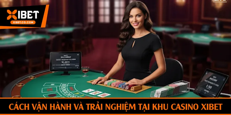 Cách vận hành và trải nghiệm tại khu casino Xibet