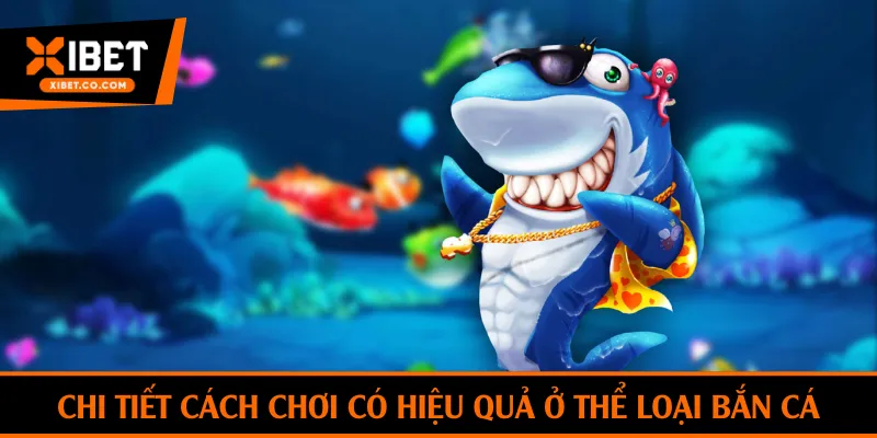 Chi tiết cách chơi có hiệu quả ở thể loại bắn cá trên Xibet