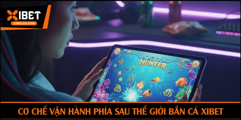 Cơ chế vận hành phía sau thế giới bắn cá Xibet