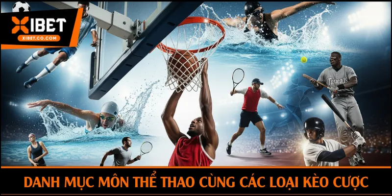 Danh mục môn thể thao cùng các loại kèo cược
