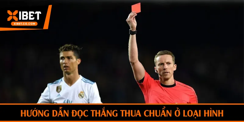 Hướng dẫn đọc thắng thua chuẩn ở loại hình Bet On Cards
