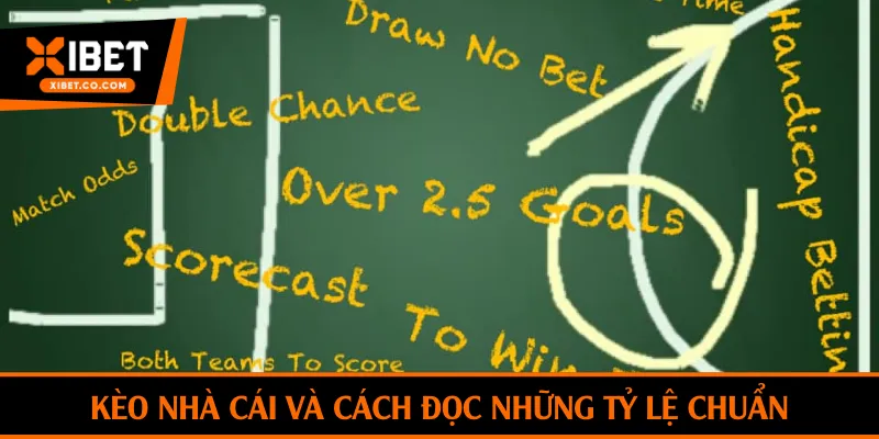 Kèo nhà cái và cách đọc những tỷ lệ chuẩn