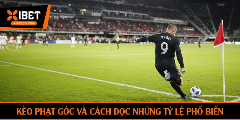 Kèo phạt góc và cách đọc những tỷ lệ phổ biến