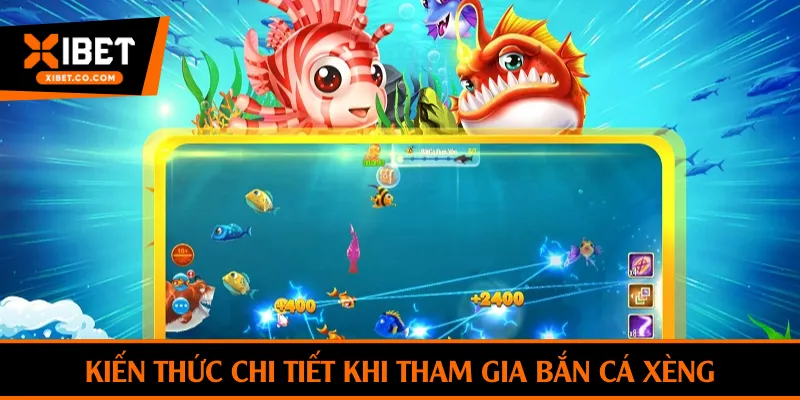 Kiến thức chi tiết cho nhà đầu tư tham gia bắn cá xèng