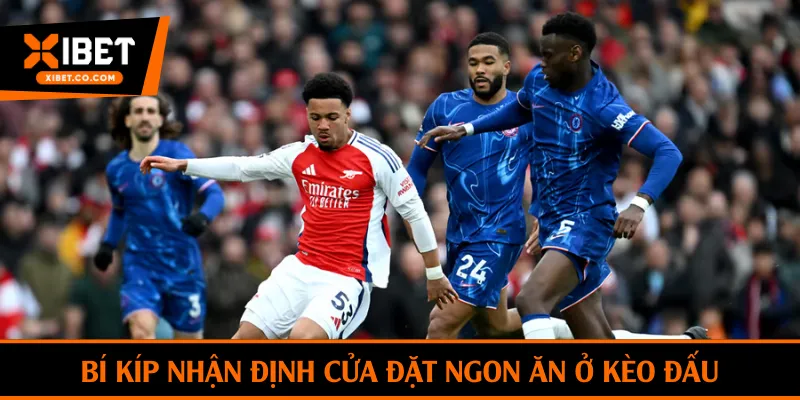 Nhận định cửa đặt ngon ăn ở kèo đấu theo bí kíp chuyên gia