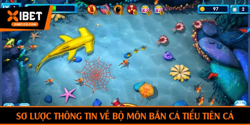 Sơ lược thông tin về bộ môn bắn cá tiểu tiên cá